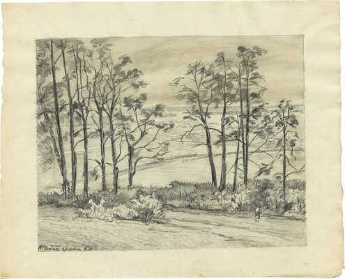 Чеботарёв Константин Константинович. Пейзаж 